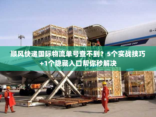 顺风快递国际物流单号查不到?5个实战技巧+1个隐藏入口帮你秒解决 顺风快递国际物流单号查不到?5个实战技巧+1个隐藏入口帮你秒解决