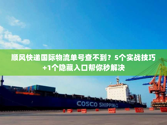 顺风快递国际物流单号查不到?5个实战技巧+1个隐藏入口帮你秒解决 顺风快递国际物流单号查不到?5个实战技巧+1个隐藏入口帮你秒解决