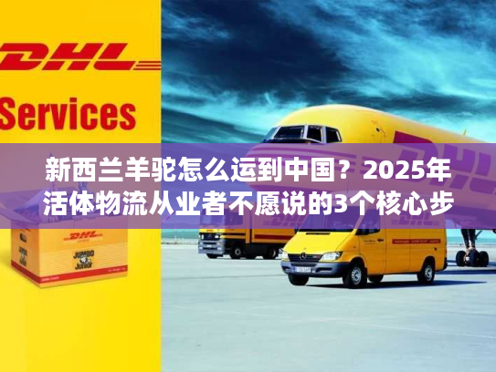 新西兰羊驼怎么运到中国？2025年活体物流从业者不愿说的3个核心步骤
