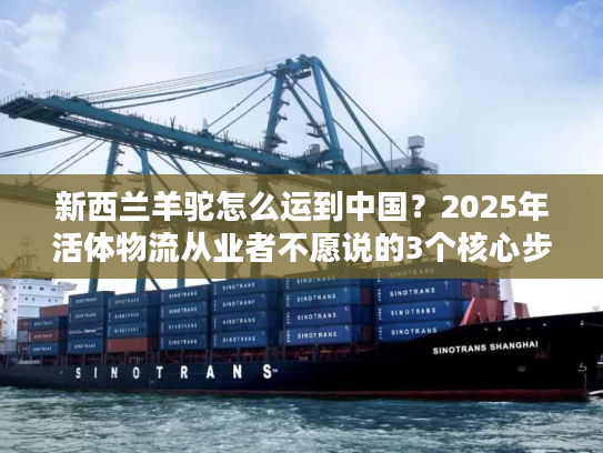 新西兰羊驼怎么运到中国？2025年活体物流从业者不愿说的3个核心步骤