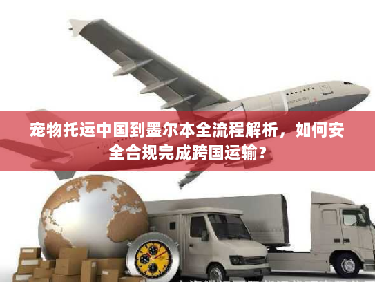 宠物托运中国到墨尔本全流程解析，如何安全合规完成跨国运输？