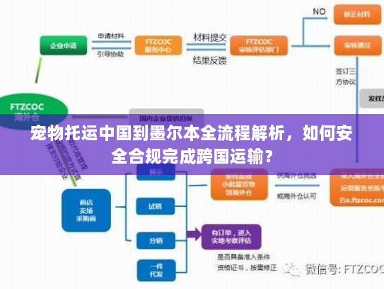 宠物托运中国到墨尔本全流程解析,如何安全合规完成跨国运输? 宠物托运中国到墨尔本全流程解析,如何安全合规完成跨国运输?