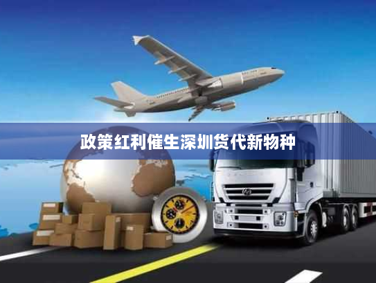政策红利催生深圳货代新物种