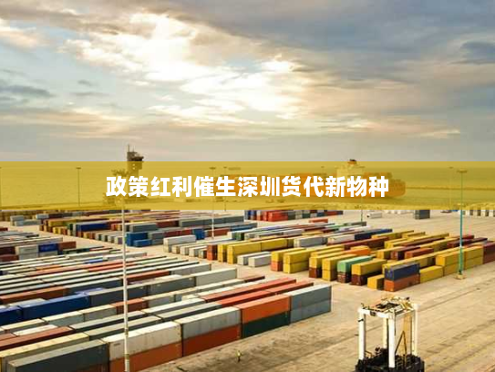 政策红利催生深圳货代新物种 政策红利催生深圳货代新物种