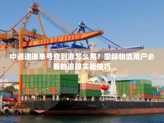 中通速递单号查到底怎么用?国际物流用户必看的追踪实战技巧 中通速递单号查到底怎么用?国际物流用户必看的追踪实战技巧