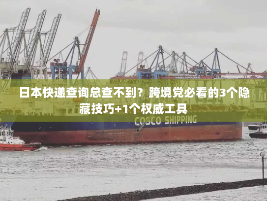 日本快递查询总查不到？跨境党必看的3个隐藏技巧+1个权威工具