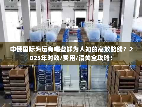 中俄国际海运有哪些鲜为人知的高效路线？2025年时效/费用/清关全攻略！