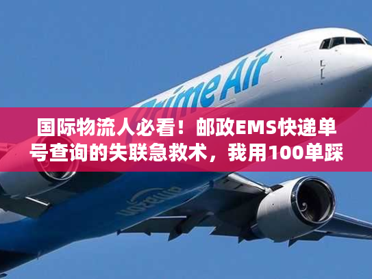 国际物流人必看！邮政EMS快递单号查询的失联急救术，我用100单踩坑总结的真相