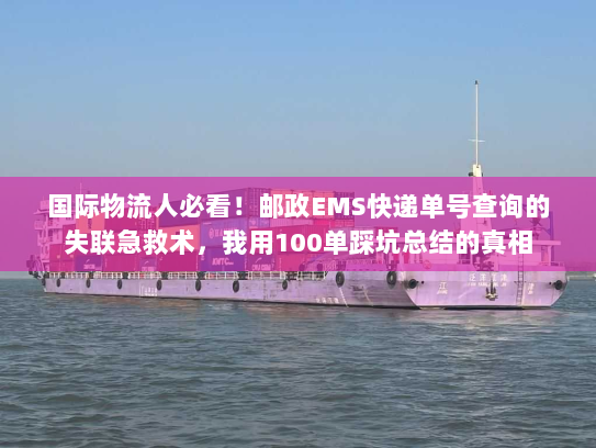 国际物流人必看!邮政EMS快递单号查询的失联急救术,我用100单踩坑总结的真相 国际物流人必看!邮政EMS快递单号查询的失联急救术,我用100单踩坑总结的真相