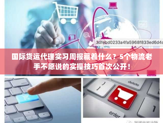 国际货运代理实习周报藏着什么?5个物流老手不愿说的实操技巧首次公开! 国际货运代理实习周报藏着什么?5个物流老手不愿说的实操技巧首次公开!