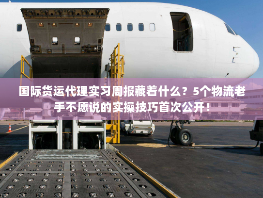 国际货运代理实习周报藏着什么?5个物流老手不愿说的实操技巧首次公开! 国际货运代理实习周报藏着什么?5个物流老手不愿说的实操技巧首次公开!