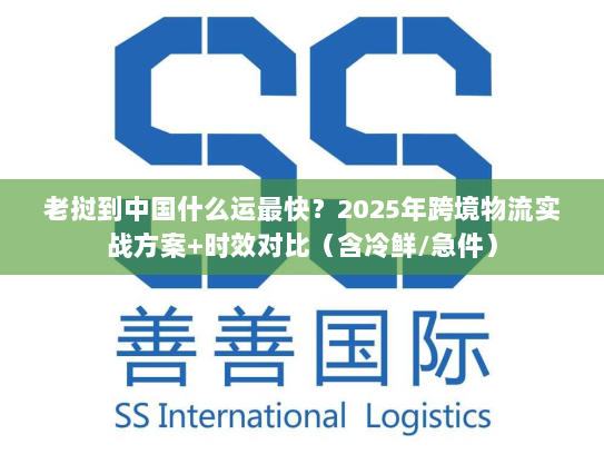 老挝到中国什么运最快？2025年跨境物流实战方案+时效对比（含冷鲜/急件）