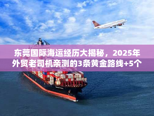 东莞国际海运经历大揭秘，2025年外贸老司机亲测的3条黄金路线+5个避坑要点