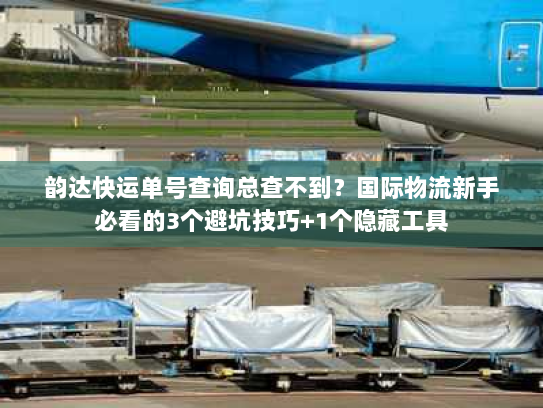 韵达快运单号查询总查不到?国际物流新手必看的3个避坑技巧+1个隐藏工具 韵达快运单号查询总查不到?国际物流新手必看的3个避坑技巧+1个隐藏工具