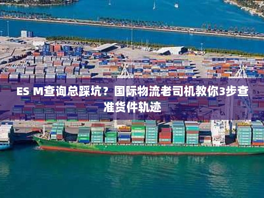 ES M查询总踩坑?国际物流老司机教你3步查准货件轨迹 ES M查询总踩坑?国际物流老司机教你3步查准货件轨迹