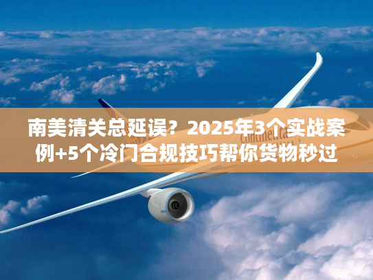 南美清关总延误?2025年3个实战案例+5个冷门合规技巧帮你货物秒过 南美清关总延误?2025年3个实战案例+5个冷门合规技巧帮你货物秒过