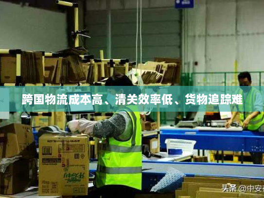 跨国物流成本高、清关效率低、货物追踪难 跨国物流成本高、清关效率低、货物追踪难