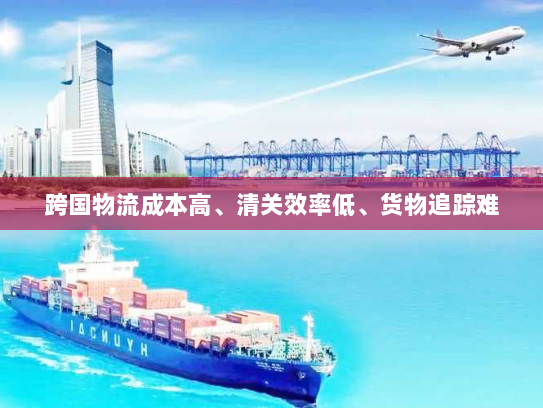 跨国物流成本高、清关效率低、货物追踪难 跨国物流成本高、清关效率低、货物追踪难