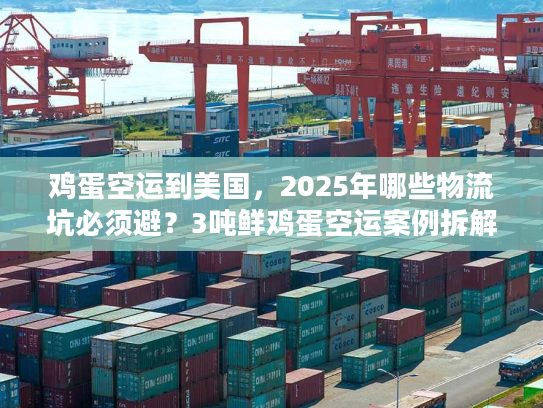 鸡蛋空运到美国,2025年哪些物流坑必须避?3吨鲜鸡蛋空运案例拆解 鸡蛋空运到美国,2025年哪些物流坑必须避?3吨鲜鸡蛋空运案例拆解