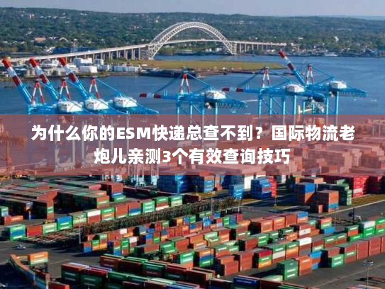 为什么你的ESM快递总查不到？国际物流老炮儿亲测3个有效查询技巧
