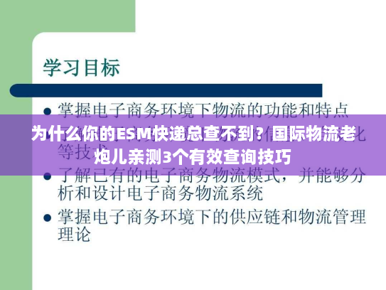 为什么你的ESM快递总查不到?国际物流老炮儿亲测3个有效查询技巧 为什么你的ESM快递总查不到?国际物流老炮儿亲测3个有效查询技巧