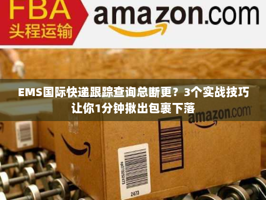 EMS国际快递跟踪查询总断更？3个实战技巧让你1分钟揪出包裹下落