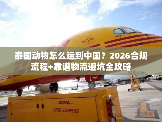 泰国动物怎么运到中国？2026合规流程+靠谱物流避坑全攻略