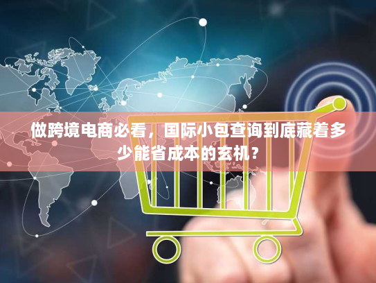 做跨境电商必看,国际小包查询到底藏着多少能省成本的玄机? 做跨境电商必看,国际小包查询到底藏着多少能省成本的玄机?