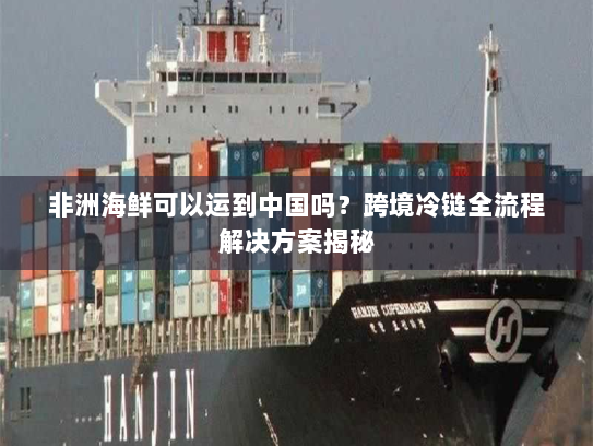 非洲海鲜可以运到中国吗？跨境冷链全流程解决方案揭秘