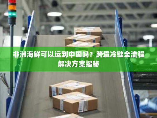 非洲海鲜可以运到中国吗？跨境冷链全流程解决方案揭秘
