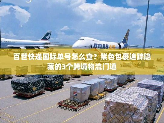 百世快递国际单号怎么查?紫色包裹追踪隐藏的3个跨境物流门道 百世快递国际单号怎么查?紫色包裹追踪隐藏的3个跨境物流门道