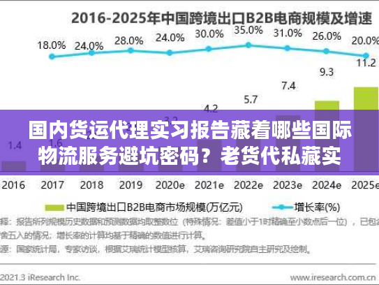 国内货运代理实习报告藏着哪些国际物流服务避坑密码?老货代私藏实战细节首次曝光 国内货运代理实习报告藏着哪些国际物流服务避坑密码?老货代私藏实战细节首次曝光