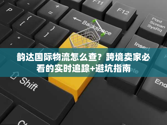 韵达国际物流怎么查？跨境卖家必看的实时追踪+避坑指南