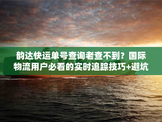 韵达快运单号查询老查不到？国际物流用户必看的实时追踪技巧+避坑清单