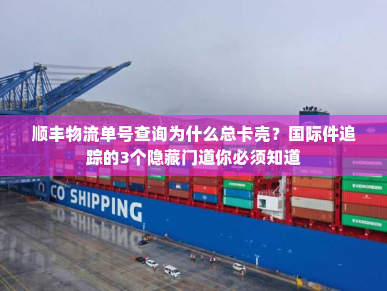 顺丰物流单号查询为什么总卡壳?国际件追踪的3个隐藏门道你必须知道 顺丰物流单号查询为什么总卡壳?国际件追踪的3个隐藏门道你必须知道