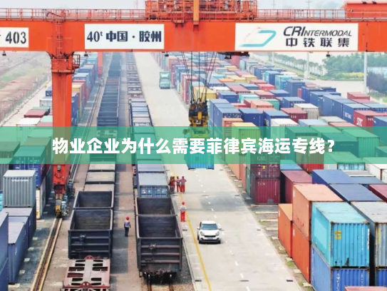 物业企业为什么需要菲律宾海运专线？