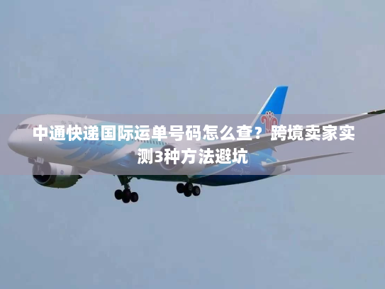 中通快递国际运单号码怎么查?跨境卖家实测3种方法避坑 中通快递国际运单号码怎么查?跨境卖家实测3种方法避坑