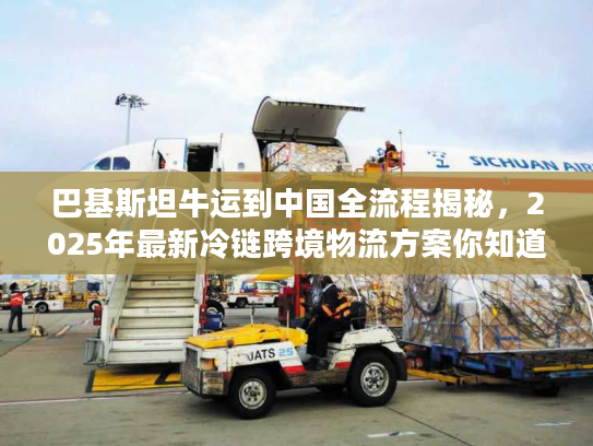 巴基斯坦牛运到中国全流程揭秘，2025年最新冷链跨境物流方案你知道吗？