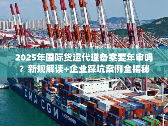 2025年国际货运代理备案要年审吗？新规解读+企业踩坑案例全揭秘