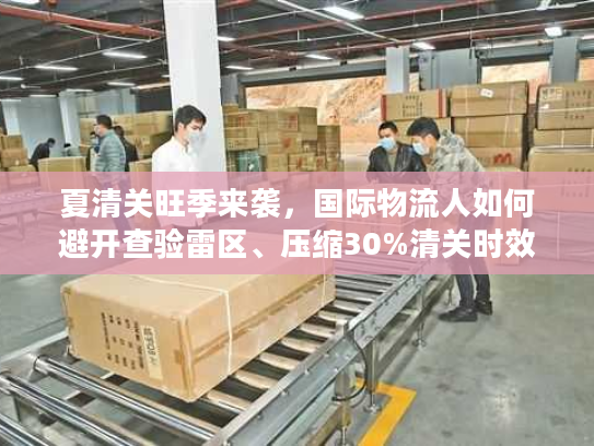 夏清关旺季来袭，国际物流人如何避开查验雷区、压缩30%清关时效？