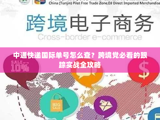 中通快递国际单号怎么查?跨境党必看的跟踪实战全攻略 中通快递国际单号怎么查?跨境党必看的跟踪实战全攻略