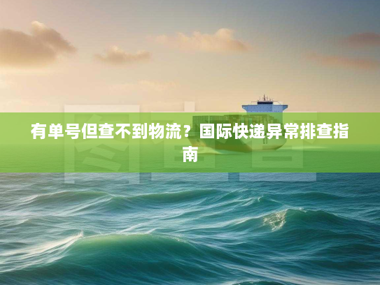 有单号但查不到物流?国际快递异常排查指南 有单号但查不到物流?国际快递异常排查指南