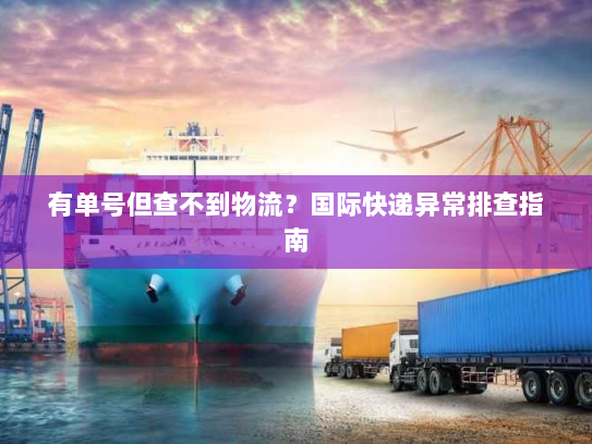 有单号但查不到物流?国际快递异常排查指南 有单号但查不到物流?国际快递异常排查指南