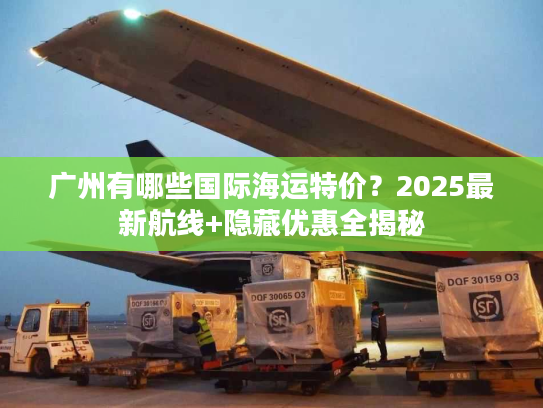 广州有哪些国际海运特价？2025最新航线+隐藏优惠全揭秘