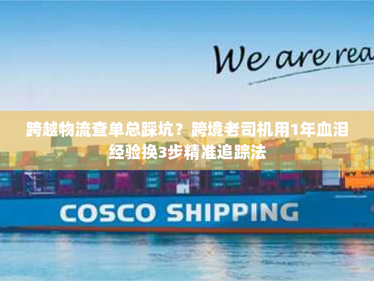 跨越物流查单总踩坑？跨境老司机用1年血泪经验换3步精准追踪法
