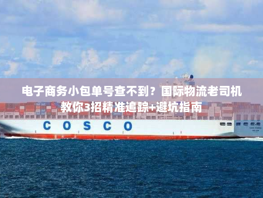 电子商务小包单号查不到?国际物流老司机教你3招精准追踪+避坑指南 电子商务小包单号查不到?国际物流老司机教你3招精准追踪+避坑指南