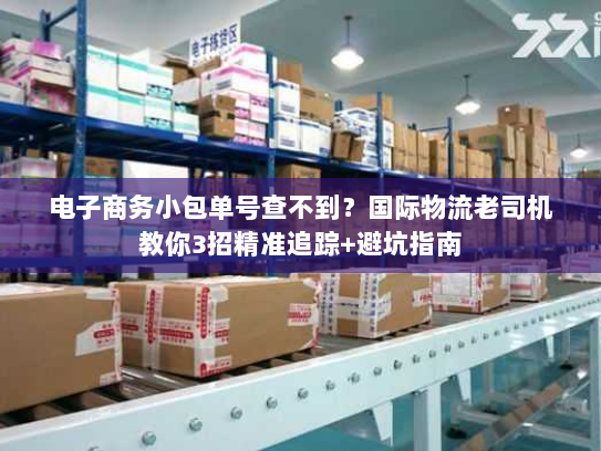 电子商务小包单号查不到?国际物流老司机教你3招精准追踪+避坑指南 电子商务小包单号查不到?国际物流老司机教你3招精准追踪+避坑指南