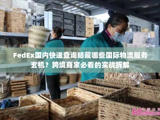 FedEx国内快递查询暗藏哪些国际物流服务玄机?跨境商家必看的实战拆解 FedEx国内快递查询暗藏哪些国际物流服务玄机?跨境商家必看的实战拆解
