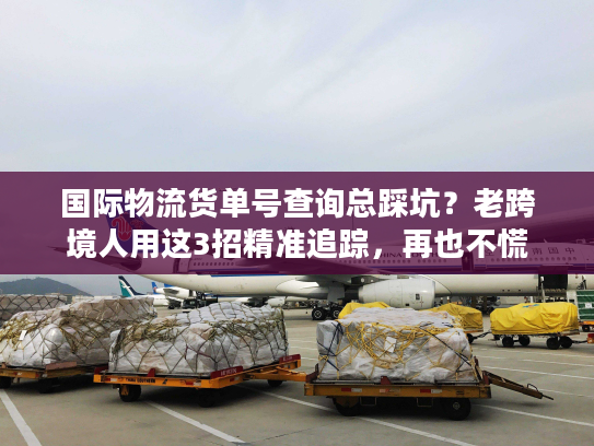 国际物流货单号查询总踩坑？老跨境人用这3招精准追踪，再也不慌