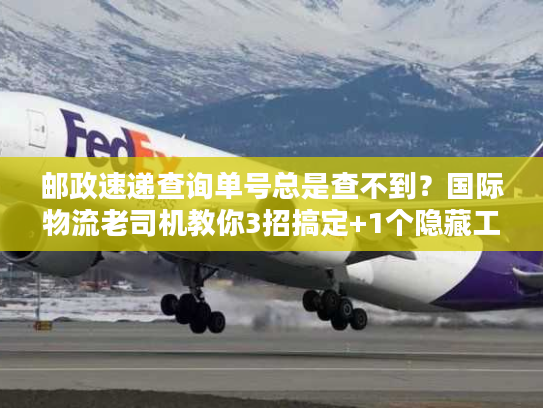 邮政速递查询单号总是查不到？国际物流老司机教你3招搞定+1个隐藏工具